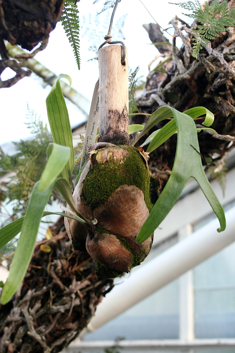 Killikus&reg; Fotographie